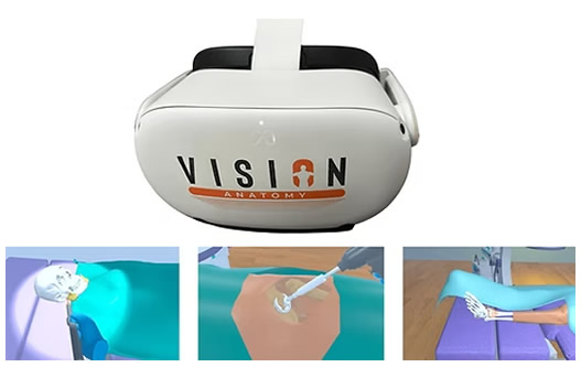 Vision Anatomy